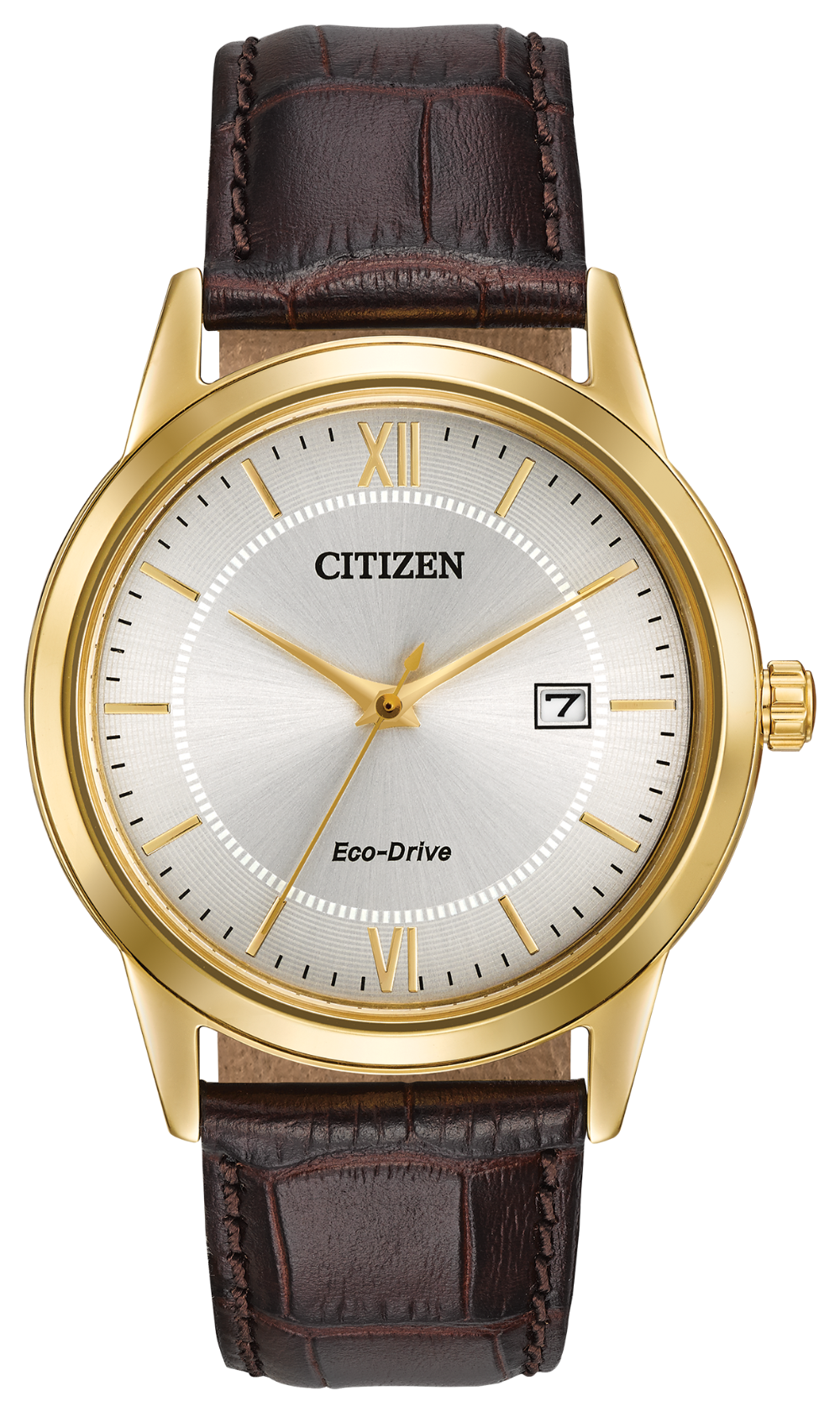 Citizen watch 2025 bands leather
