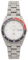 BAND & PINS COMBO: Citizen Watch Bracelet Grey Titanium Part # 59-R1073 With Band to Case Pins